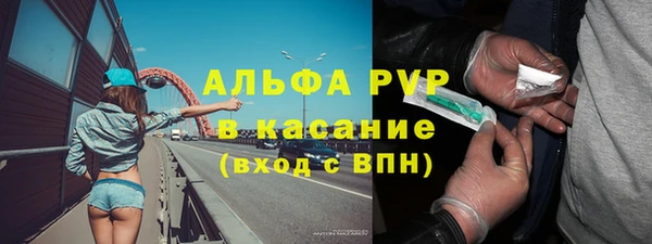 кокс Инсар