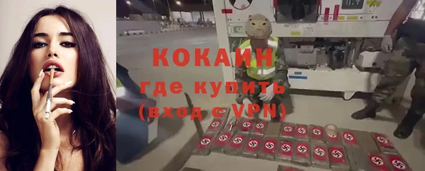 гашик Иннополис