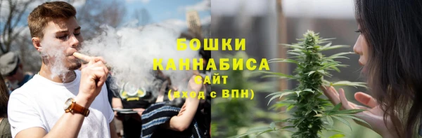 кокс Инсар