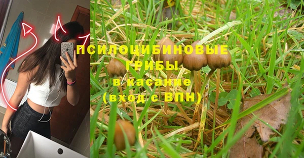 кокс Инсар