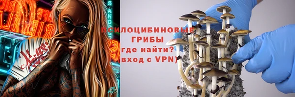 гашик Иннополис