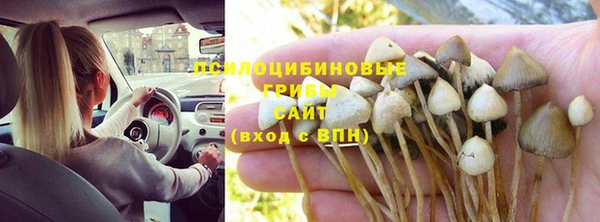 кокс Инсар